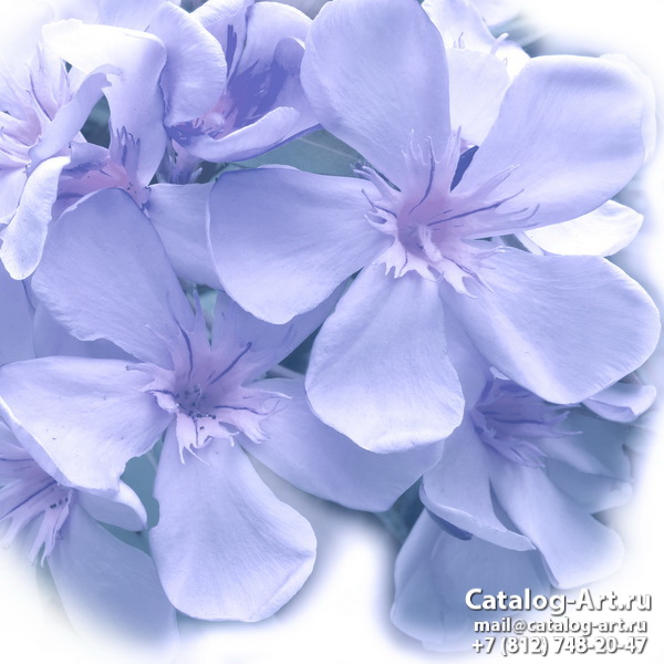 Bleu flowers 37